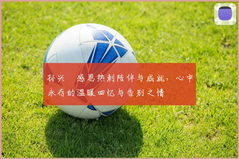 孙兴慜感恩热刺陪伴与成就，心中永存的温暖回忆与告别之情