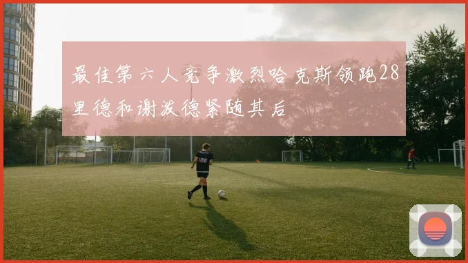 最佳第六人竞争激烈哈克斯领跑28里德和谢泼德紧随其后