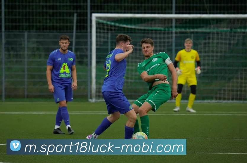 App Interface Preview