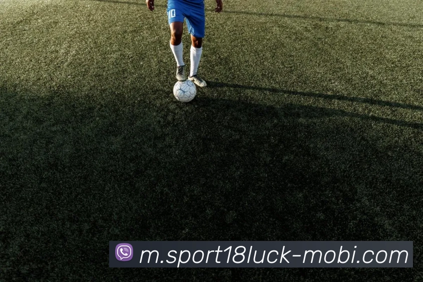 18新利体育APP 封面图